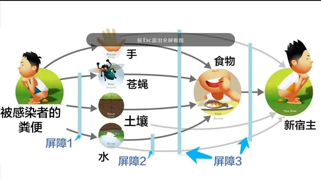 糞便分析儀有什么作用
