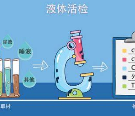 個(gè)性化醫(yī)療的關(guān)鍵：液體活檢技術(shù)在癌癥早期檢測(cè)中的突破