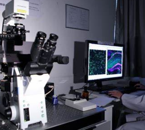 精準(zhǔn)診斷的新利器：分子影像技術(shù)在癌癥早期檢測(cè)中的應(yīng)用