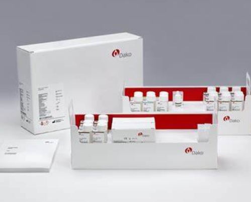 個性化腫瘤治療的利器：免疫治療伴隨診斷試劑盒的作用與前景