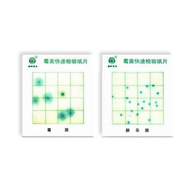 霉菌、酵母菌測試片