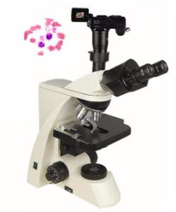 數(shù)碼型生物顯微鏡 XSP-10CD
