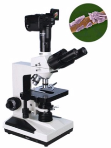 數(shù)碼型生物顯微鏡 XSP-8CD