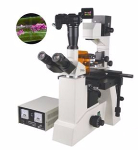 數(shù)碼型熒光顯微鏡 TXM-500D