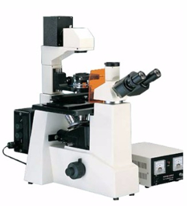 倒置熒光顯微鏡 LWD200-37FT
