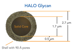 液相色譜柱 BIOCLASS Glycan