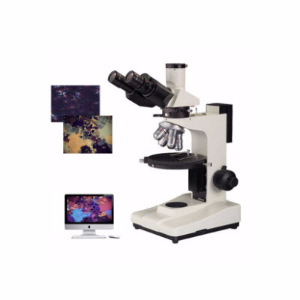 長距偏光顯微鏡 YP-65