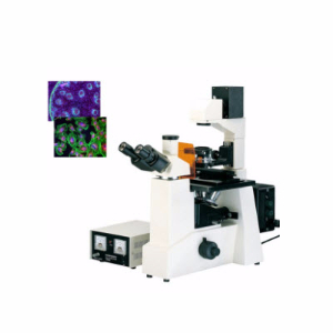 倒置熒光顯微鏡 YDF-70
