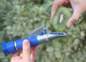 手持式糖分計  JZ-32