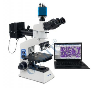 正置金相顯微鏡 BH-200M
