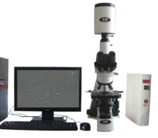 邁朗高倍智能變焦數(shù)碼顯微分析儀  sj-tmdi810 VI