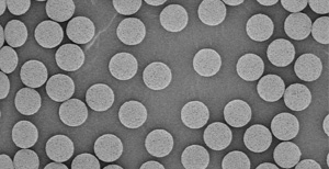 抗體親和色譜柱  ProAqa Excel