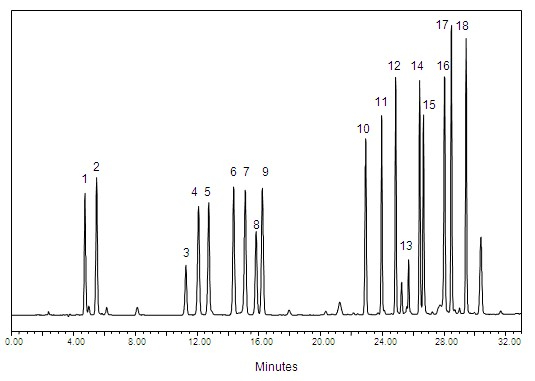 氨基酸專用柱    Sepax AAA