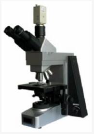 彼愛姆 高級(jí)相襯生物顯微鏡 BM-SG10PH