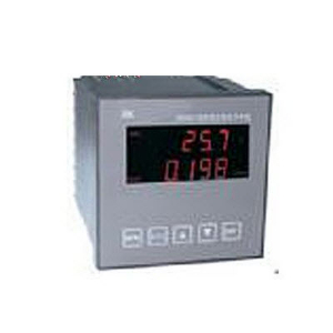 在線酸度計(jì) PHG9801