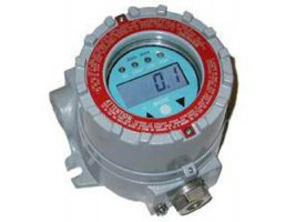 有機(jī)氣體檢測(cè)儀   RAEGuard PID