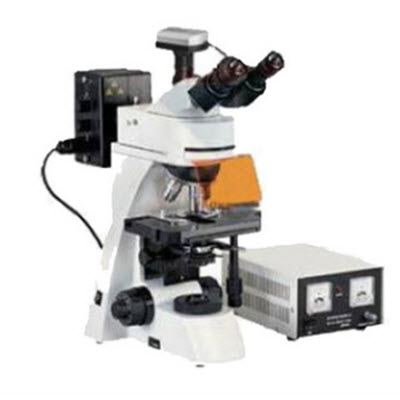 落射式熒光顯微鏡 SM-30TC