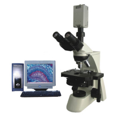 高檔型相差顯微鏡 BPH-300系列