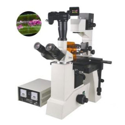 研究型熒光顯微鏡 BFM-700