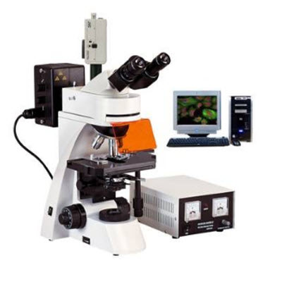 四波段無(wú)限遠(yuǎn)熒光顯微鏡 BFM-660