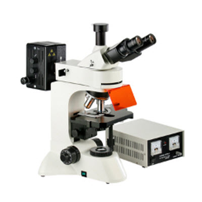 四波段正置熒光顯微鏡 BFM-550
