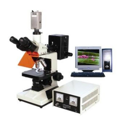 電腦型熒光顯微鏡 BFM-300