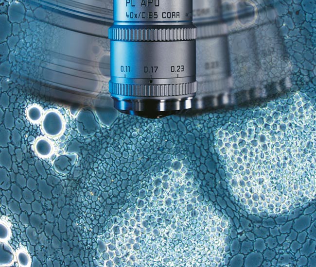 DM4&nbsp;B&nbsp;&&nbsp;DM6&nbsp;B一鍵更換對比度