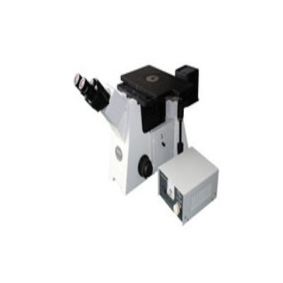 金相顯微鏡 DM5000X