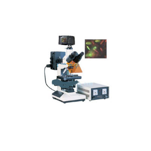 數(shù)碼型落射熒光顯微鏡 DFM-50D