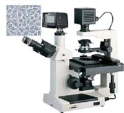 數(shù)碼型倒置顯微鏡 XDS-300D