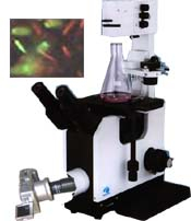 數(shù)碼型倒置顯微鏡 XDS-220D