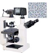 數(shù)碼型倒置顯微鏡 XDS-200D