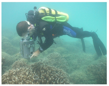 水下光譜儀 SVC HR-512i/GER-1500