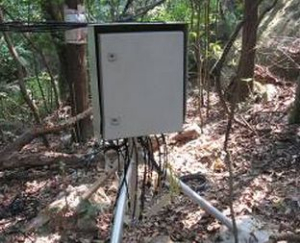 植物莖流葉溫監(jiān)測系統(tǒng) ENVIdata-DT