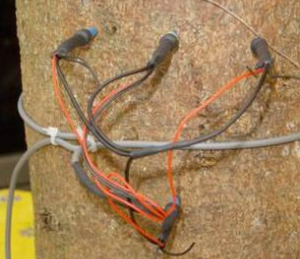 探針式植物莖流測量系統(tǒng) SF-L