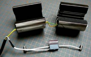 包裹式植物莖流測量系統(tǒng) EMS 62