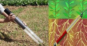 植物根系生長(zhǎng)動(dòng)態(tài)監(jiān)測(cè)系統(tǒng) STEG-007