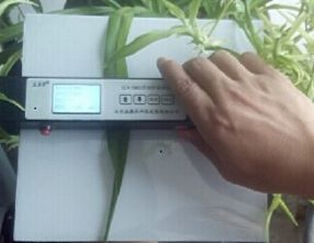 手持式葉面積測(cè)定儀 ECA-YM02