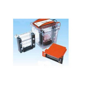 迷你垂直電泳儀 SE300miniVE