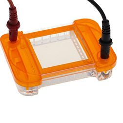 EZ-Agarose 一體化凝膠電泳系統(tǒng) A0001