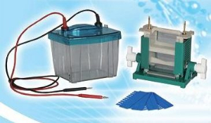 雙垂直電泳儀 HD-2544