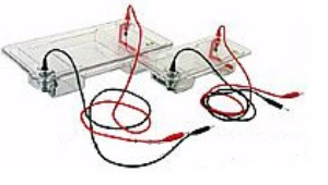 君意東方電泳槽 JY-SP-C