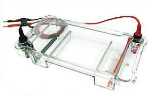 多用途水平電泳儀 BG-subMIDI