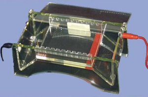 水平電泳槽 JS-360F