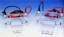 小型水平電泳槽 MGU系列