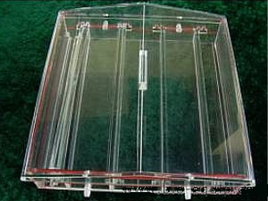 臥式水平電泳槽 WS-CS1