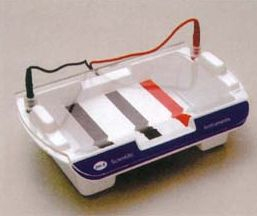 多功能水平電泳槽 HM—I