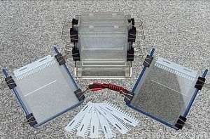 雙垂直電泳槽 XH-CZ08