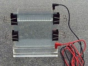 垂直電泳槽 CC-C