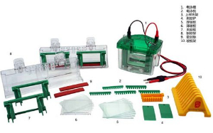 電泳系統(tǒng) MP-8005